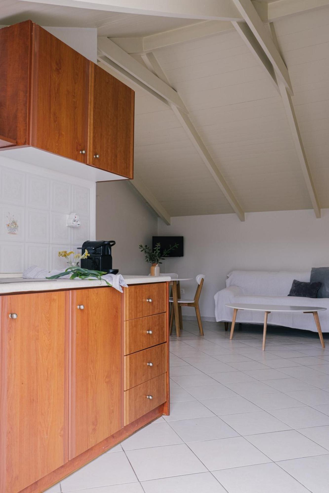 Blue House Apartments Василикос Номер фото